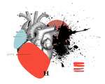 The Heart
